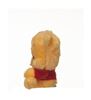 Picture of Item No: 37469 (Out of Stock)