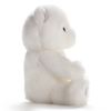 Picture of Item No: 37437 (Out of Stock)