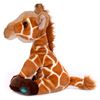 Picture of Item No: 37523U (Out of Stock)