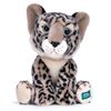 Picture of Item No: 37521U (Out of Stock)