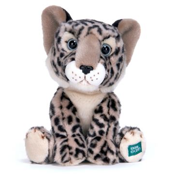 Picture of Item No: 37521U (Out of Stock)