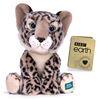 Picture of Item No: 37521U (Out of Stock)