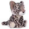 Picture of Item No: 37521U (Out of Stock)