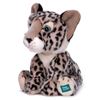 Picture of Item No: 37521U (Out of Stock)