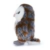 Picture of Item No: 37682U (Out of Stock)