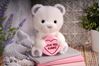 Picture of Item No: 37766N