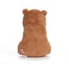Picture of Item No: 38066